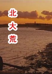 久久中文字幕网